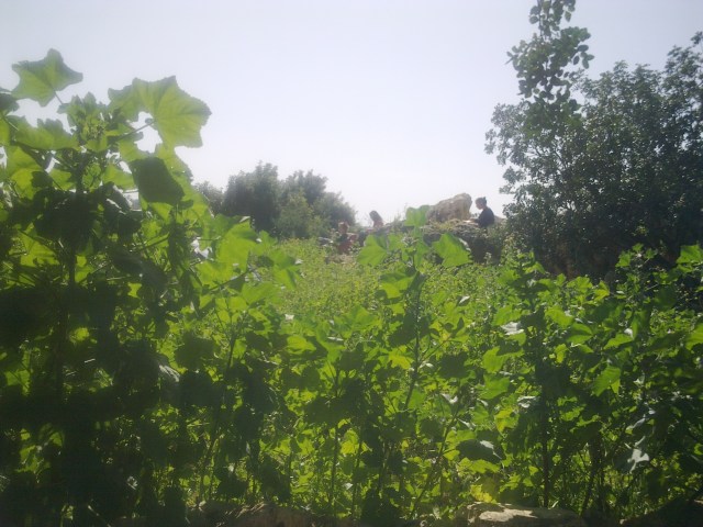 רטריט חובזות