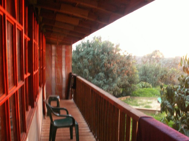 KONICA MINOLTA DIGITAL CAMERA